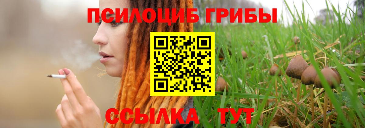 наркотики  Псилоцибиновые грибы Psilocybine cubensis  Вход с VPN  Спасск-Дальний 